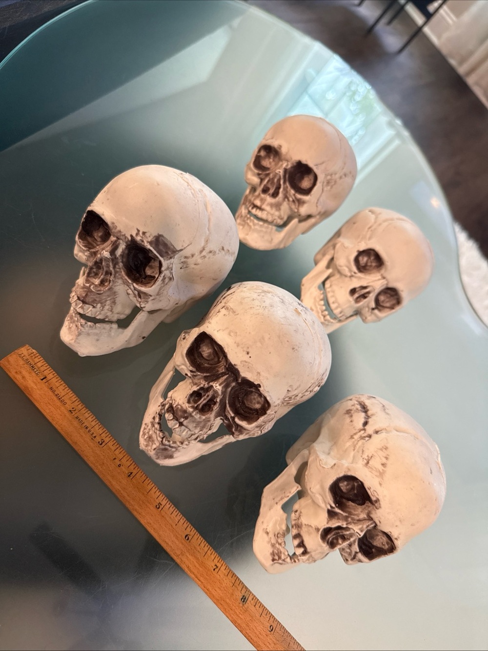 Five Skull Decoration Halloween Prop Blow Mold Skeleton Head Mouth Articulated